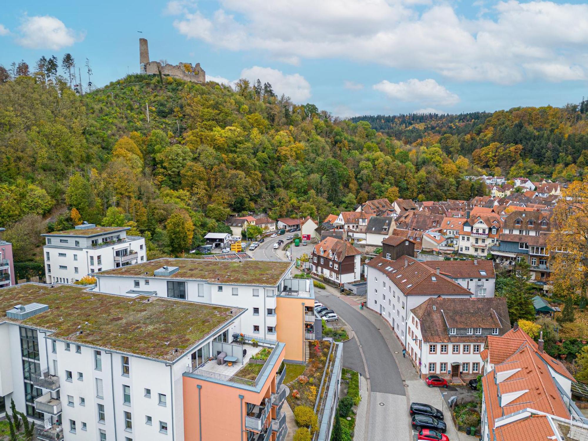 Lit Living Weinheim Altstadt - Boutique Apartments - Parking Exterior foto
